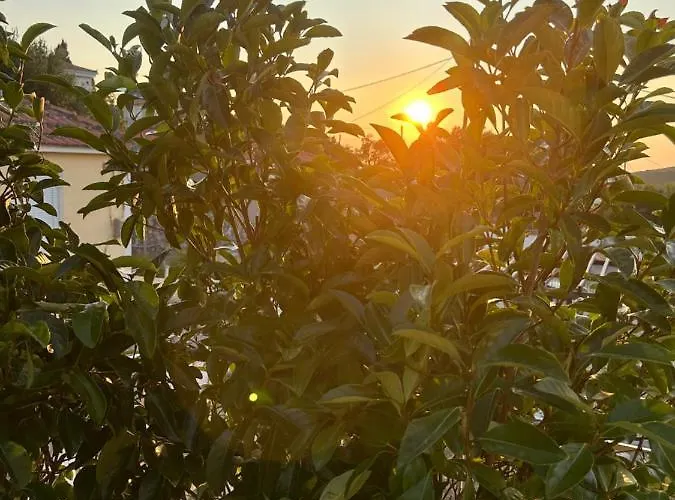 Marble's Vakantiehuis